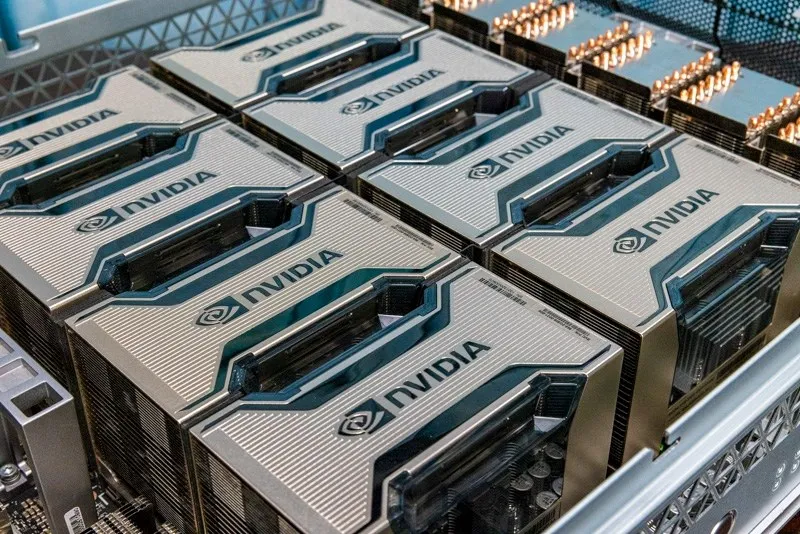 NVIDIA GPU trays installed in a server chassis
